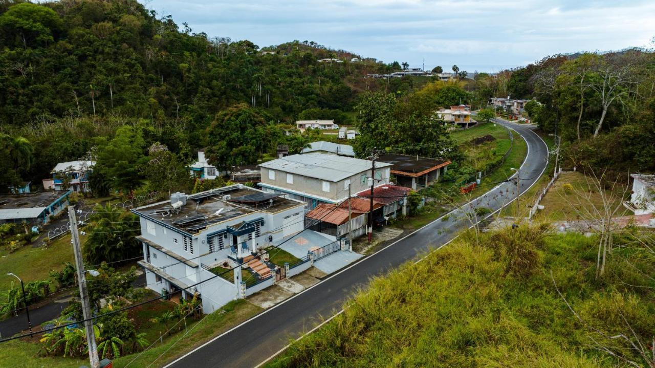 Green Studio 1 - Just 7 Min Drive To The Beach Rincon Buitenkant foto
