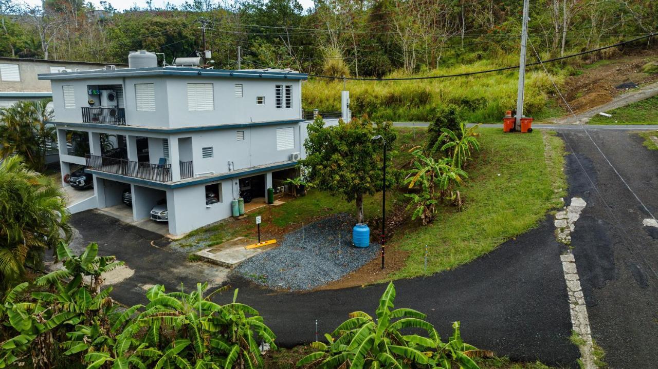 Green Studio 1 - Just 7 Min Drive To The Beach Rincon Buitenkant foto